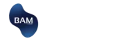 Boston Asset Manager